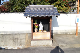 摜̊g
