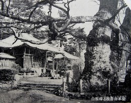 香北の観光と産業(S30年頃)-白猴欅と根香寺 香北の観光と産業(S30年頃)-白猴欅と根香寺