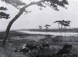 香西の昔(昭和初期)-本津川 香西の昔(昭和初期)-本津川