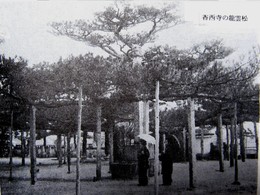 香西の昔(昭和初期)-香西寺のねぜり松 香西の昔(昭和初期)-香西寺のねぜり松