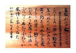 芝山墓地れんげ松由来(墓地礼拝堂に掲示) 芝山墓地れんげ松由来(墓地礼拝堂に掲示)
