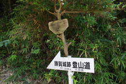 合流地点近くが標高260m七合目になります 合流地点近くが標高260m七合目になります
