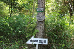 標高345mの標識、山頂まで後19m 標高345mの標識、山頂まで後19m