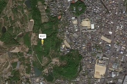 Google Earth̉q摜