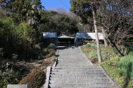 tR