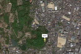 Google Earth̉q摜