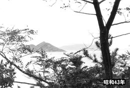 a43N7@ŎR菗ؓ