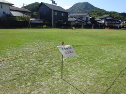 DSC03181