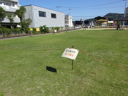 DSC03180