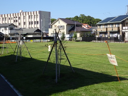 DSC03179