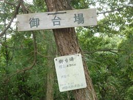 ̖ړInW220̌ꒅł