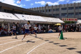 4.5.6Nk