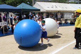 ʂ낪