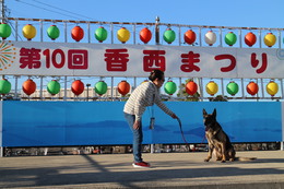 警察犬ショー(ホームページ委員会取材班撮影) 警察犬ショー