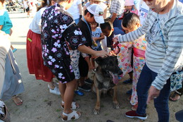 警察犬ショー(ホームページ委員会取材班撮影) 警察犬ショー
