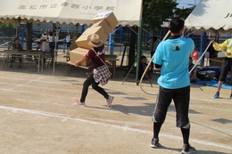 障害物リレー「一般混合」(ホームページ委員会取材班撮影) 障害物リレー「一般混合」