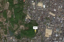 Google Earth̉q摜