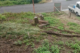 a