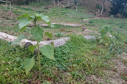 GߊÔǍЂ܂肪Ă܂