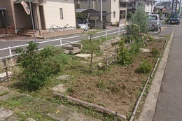 bGAafter