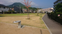 ł