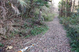 里山から少し登ったところまで取材しました(衛生組合協議会撮影) 里山から少し登ったところまで取材しました