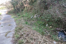登山道沿いに水路が有ります(衛生組合協議会撮影) 登山道沿いに水路が有ります