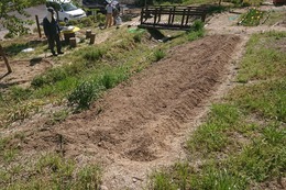 ここにはひまわりの種を蒔く予定です(衛生組合協議会撮影) ここにはひまわりの種を蒔く予定です
