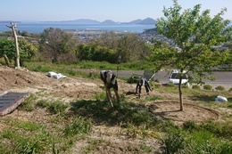 土を耕しています(衛生組合協議会撮影) 土を耕しています