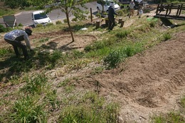 草刈りも行いました(衛生組合協議会撮影) 草刈りも行いました