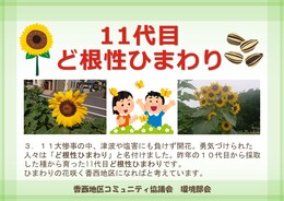 ǍЂ܂Ŕ