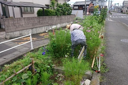草刈り状況(衛生組合協議会撮影) 草刈り状況