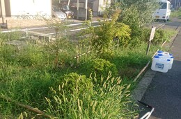 中央通り花壇の水やり、雑草が生い茂っています(衛生組合協議会撮影) 中央通り花壇の水やり、雑草が生い茂っています