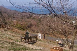 12日はお天気も良く親子連れが遊びにきました(衛生組合協議会撮影) 12日はお天気も良く親子連れが遊びにきました