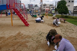 雑草抜き作業の様子(ホームページ委員会撮影) 雑草抜き作業の様子