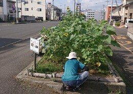 AGȂ