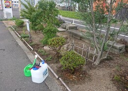 芮