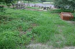 16日の里山の様子(衛生組合協議会撮影) 16日の里山の様子