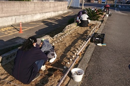 こちらも両サイドから植えています(衛生組合協議会撮影) こちらも両サイドから植えています