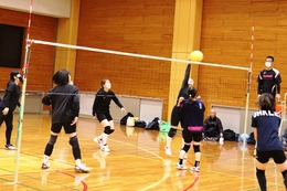 ソフトバレーボールの様子(女子)(ホームページ委員会撮影) ソフトバレーボールの様子(女子)