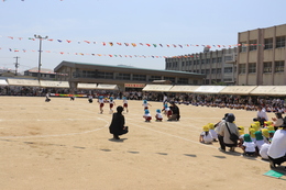 かけっこ(ホームページ委員会撮影) かけっこ