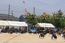 香西ソーラン!(ホームページ委員会撮影) 香西ソーラン!