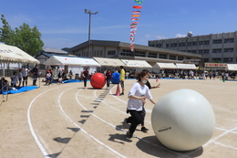 大玉ころがし(ホームページ委員会撮影) 大玉ころがし