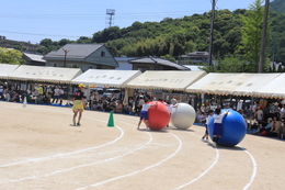 大玉ころがし(ホームページ委員会撮影) 大玉ころがし