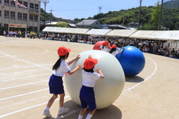 大玉ころがし(ホームページ委員会撮影) 大玉ころがし