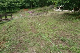 11̑@after
