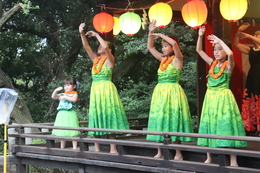 奉納ハワイアンダンス(ホームページ委員会撮影) 奉納ハワイアンダンス
