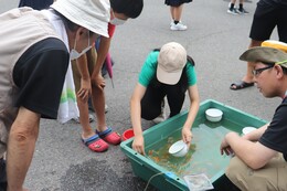 金魚すくい(ホームページ委員会撮影) 金魚すくい