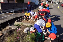 全部で160個程を植えました(衛生組合協議会撮影) 全部で160個程を植えました