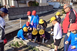 プランターを使って植えていきます(衛生組合協議会撮影) プランターを使って植えていきます